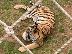 -西霞口神雕山野生动物世界