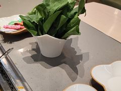 -海底捞火锅(万达广场店)