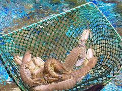 -蚝得喜海鲜(东城店)