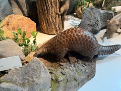 -杭州西湖博物馆总馆