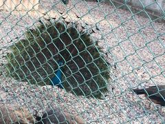 -南京金牛湖风景区