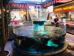 -魏铭鱼头捞饭(晋阳路店)