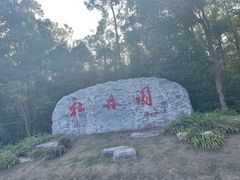 -上海海湾国家森林公园