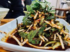 折耳根-桐梓锅贴饺(桃源东路店)