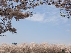 -龙美术馆(西岸馆)