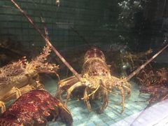 -徐记海鲜(阿波罗店)