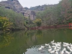 -冠豸山景区