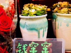 -VT101维多利广场