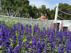 -龙环葡韵住宅式博物馆