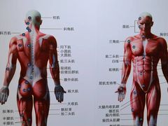 -通透堂中医·精准推拿(旗舰店)