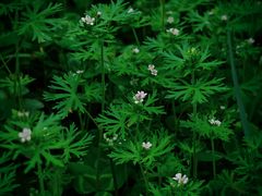 -苏州河梦清园环保主题公园