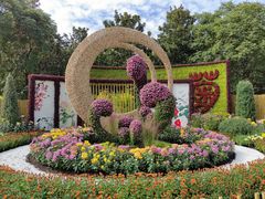 -上海共青森林公园