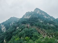 -大岭沟猕猴桃谷风景区