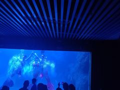 -左海海底世界