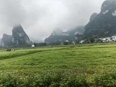 -明仕田园