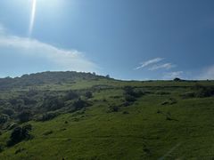 -大姆山草场