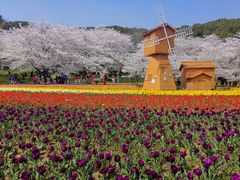 -苏州上方山国家森林公园