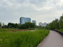 -西海子公园