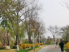 -燕郊植物园