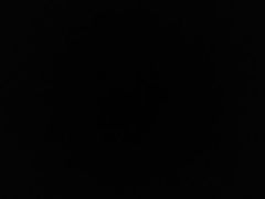 -宋柏树北京果木烤鸭(安东卫店)