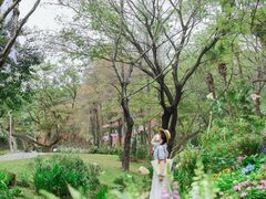 -人民公园(罗湖区)