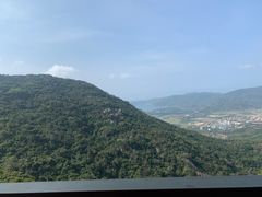 -三亚亚龙湾人间天堂鸟巢度假村