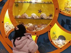 -多彩贵州城极地海洋世界