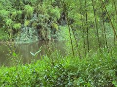 -黄海国家森林公园