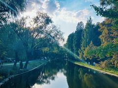 -上海共青森林公园