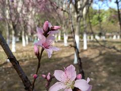 -白塘生态植物园