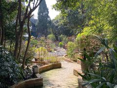 -谷咖啡·鲜花绿植花园餐厅