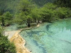 -黄龙山原始森林景区