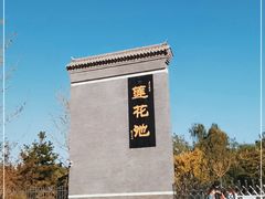 -莲花池公园