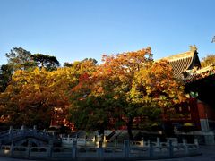 -香山公园