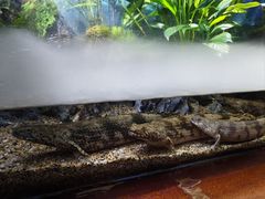 -太平洋海底世界