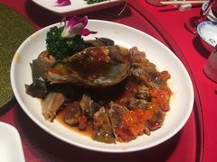 -席家花园(巨鹿花园店)