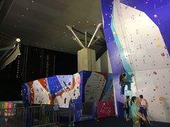 -蓝天攀岩(罗湖益田假日广场店)