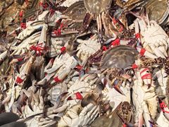 -一方渔歌蒸汽海鲜自助(文化路万达广场店)