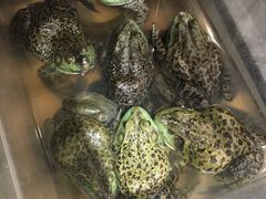 -盒马鲜生(昆城店)