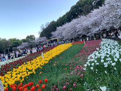 -苏州上方山国家森林公园