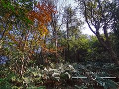 -青龙山国家森林公园