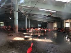 -石家庄市动物园