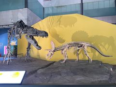 -湖南省地质博物馆