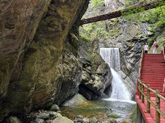 -牛背梁国家森林公园