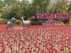 -上海野生动物园