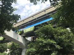 -重庆海昌加勒比海水世界