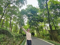 -平湖九龙山旅游度假区