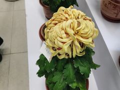 -三人行骨头王火锅(长寿店)