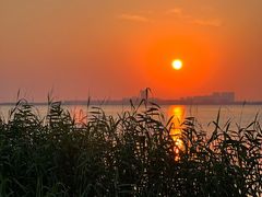 -苏州东太湖生态园