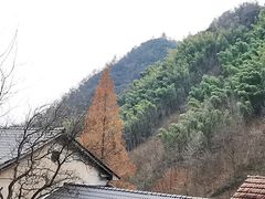 -太湖源风景区